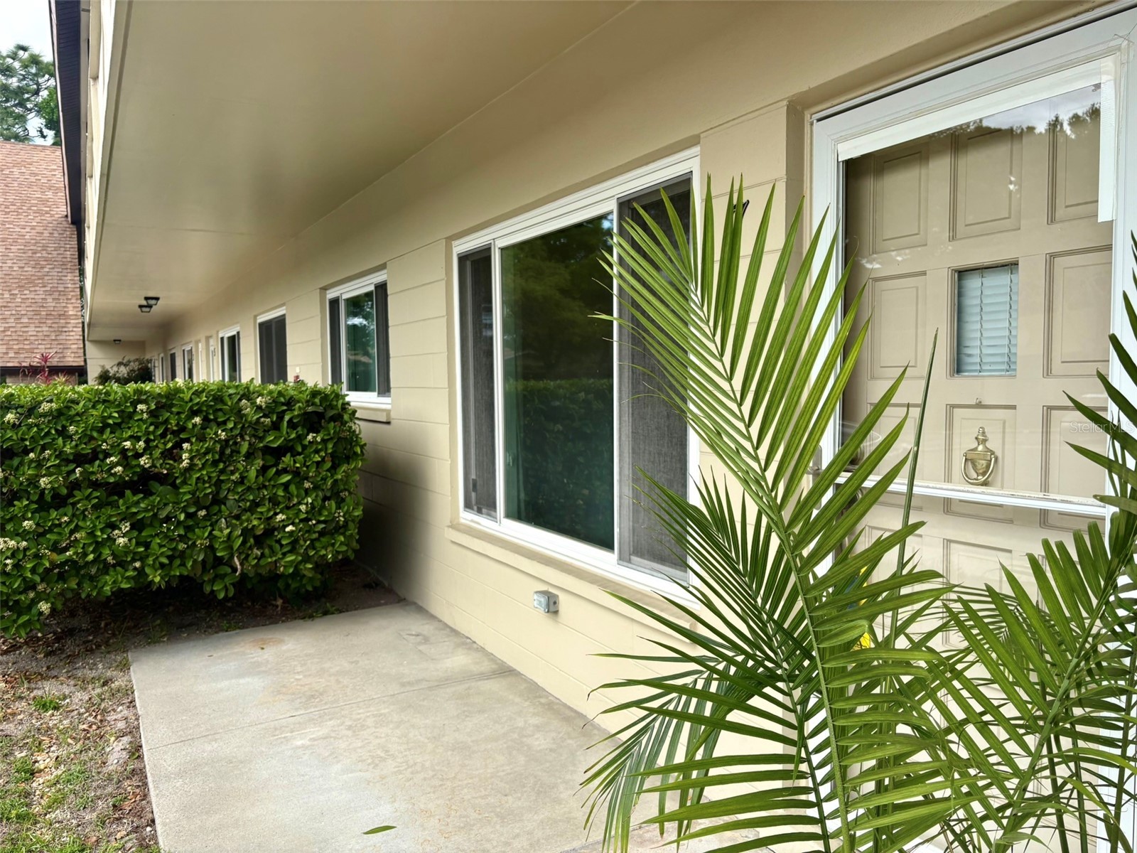 2295 Belgian Lane #7 Clearwater FL 33763 TB8495529 image2