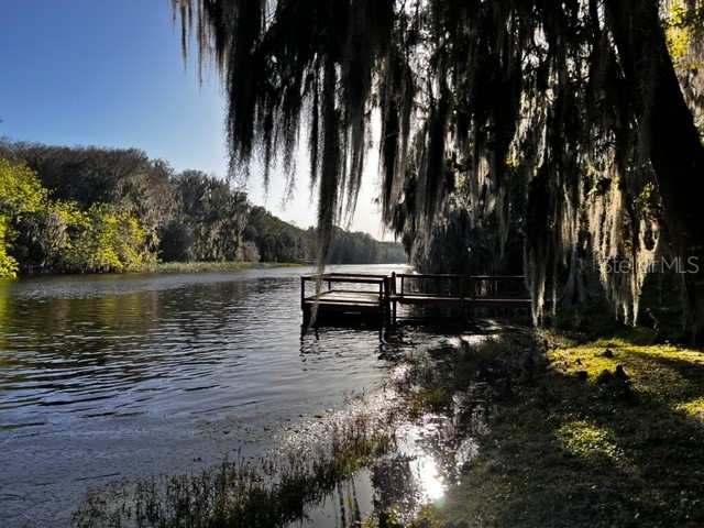 2295 Cr 412 Lake Panasoffkee FL 33538 - OUTLET RIVER G5078802 image1