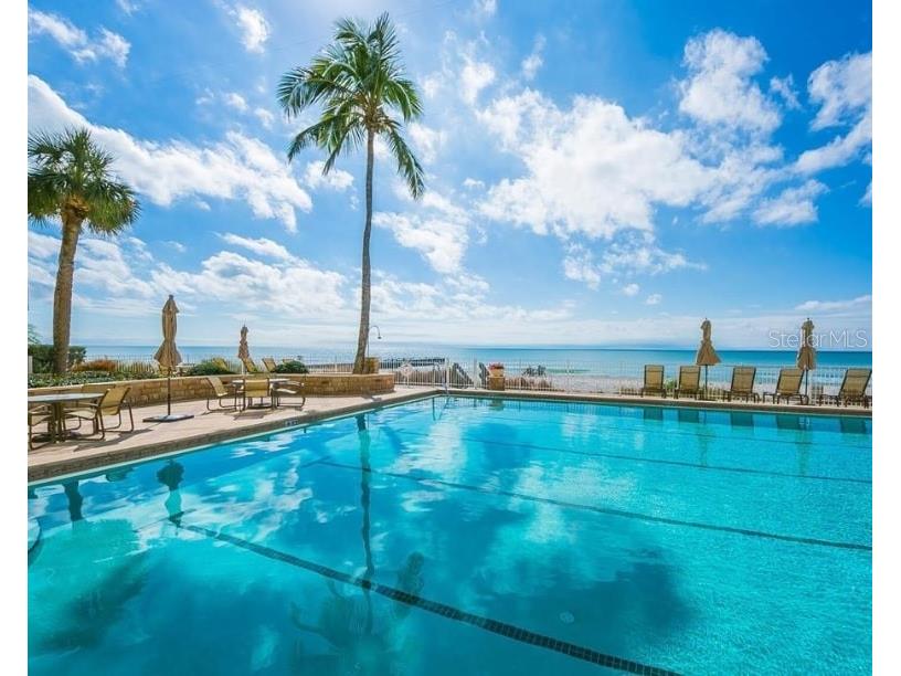 2295 Gulf Of Mexico Drive #83S Longboat Key FL 34228 TB8403758 image50