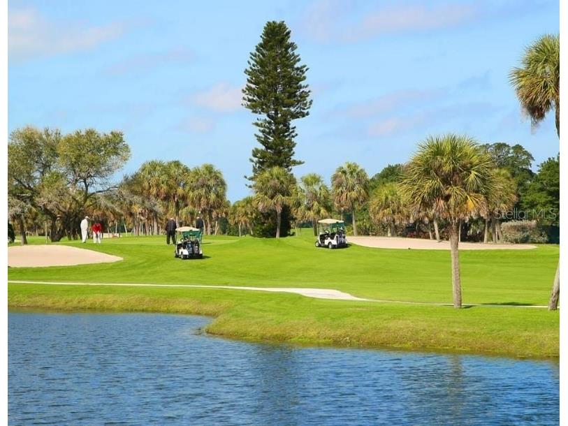 2295 Gulf Of Mexico Drive #83S Longboat Key FL 34228 TB8403758 image58