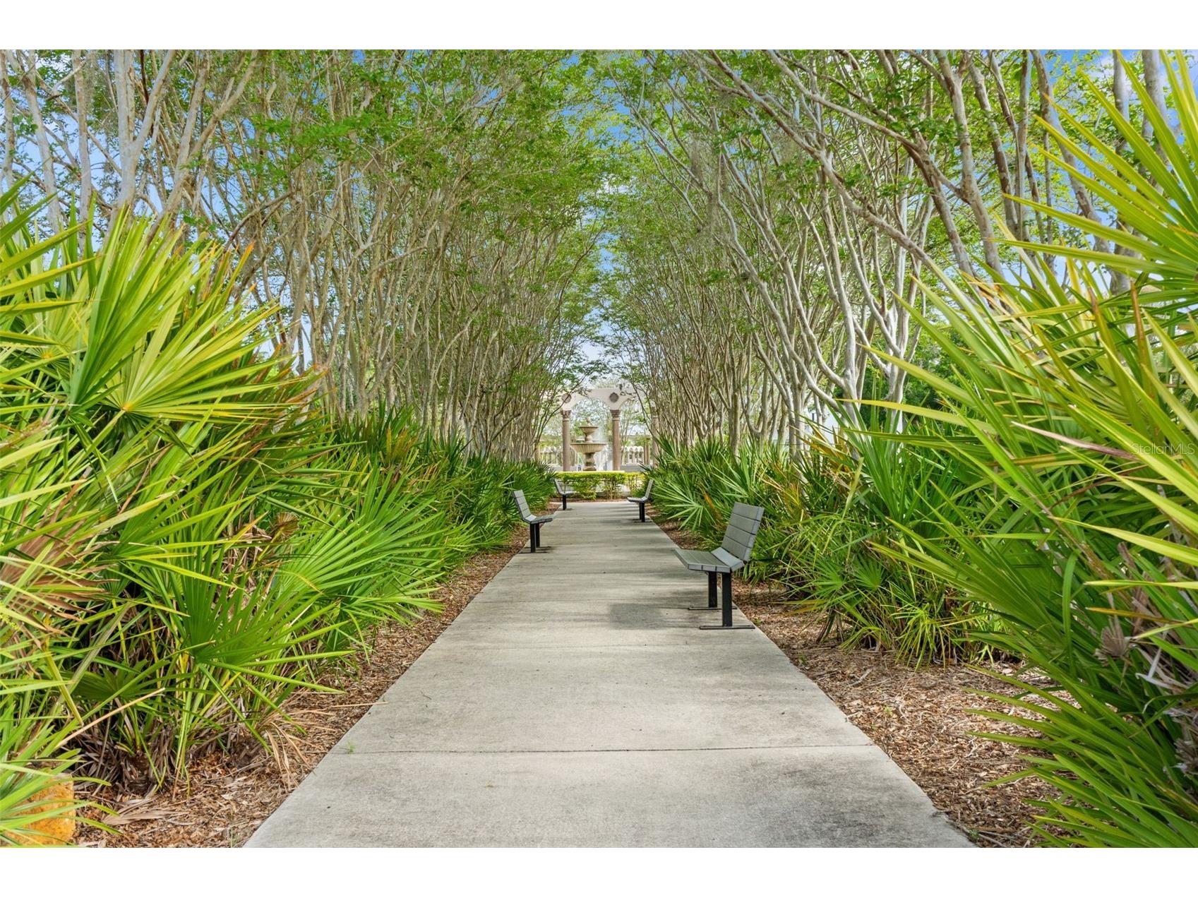 2295 Mexican Way #41 Clearwater FL 33763 W7884545 image32