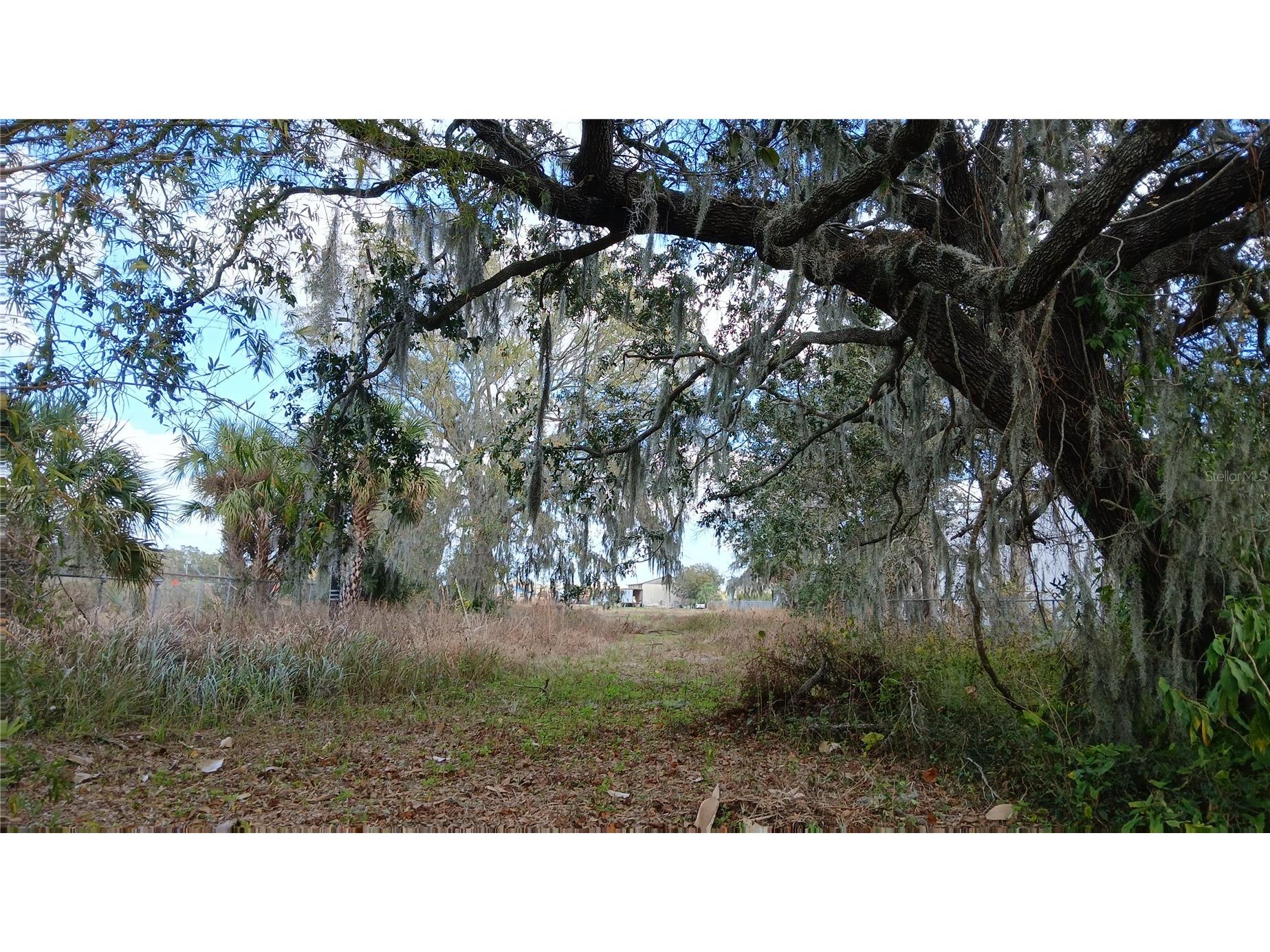 2295 Us Highway 92 E Plant City FL 33563 L4958860 image12