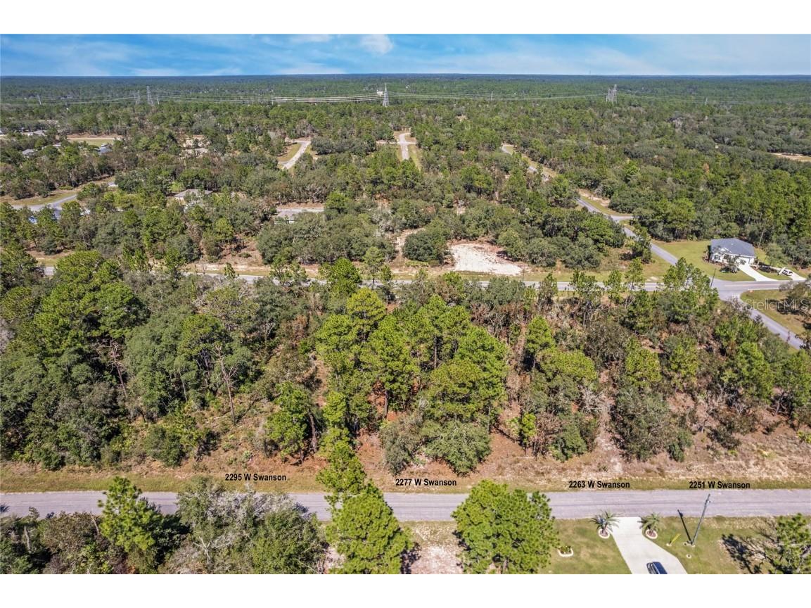 2295 W Swanson Drive Citrus Springs FL 34434 O6073988 image1