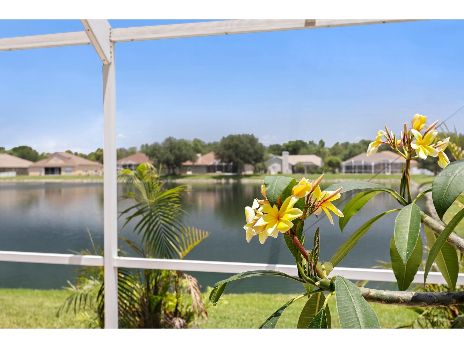 22953 Bay Cedar Drive Land O Lakes FL 34639 TB8507606 image25