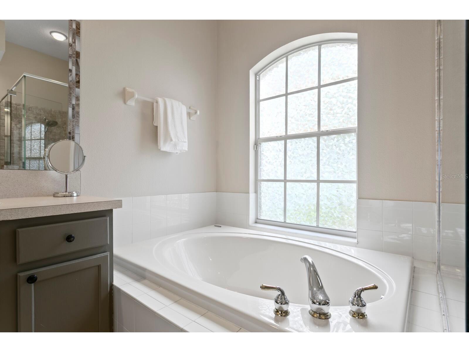 22953 Bay Cedar Drive Land O Lakes FL 34639 TB8507606 image33