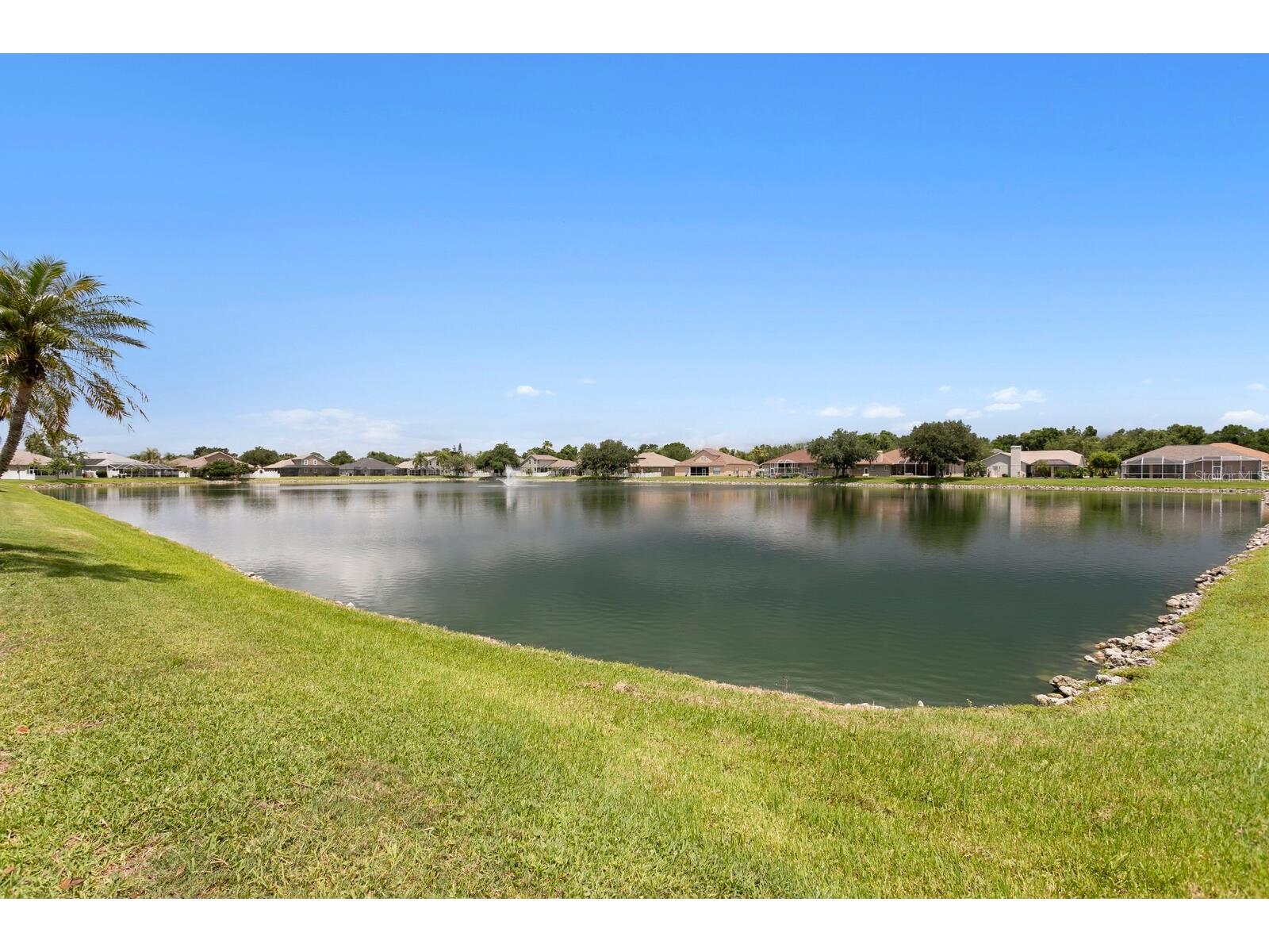 22953 Bay Cedar Drive Land O Lakes FL 34639 TB8507606 image46