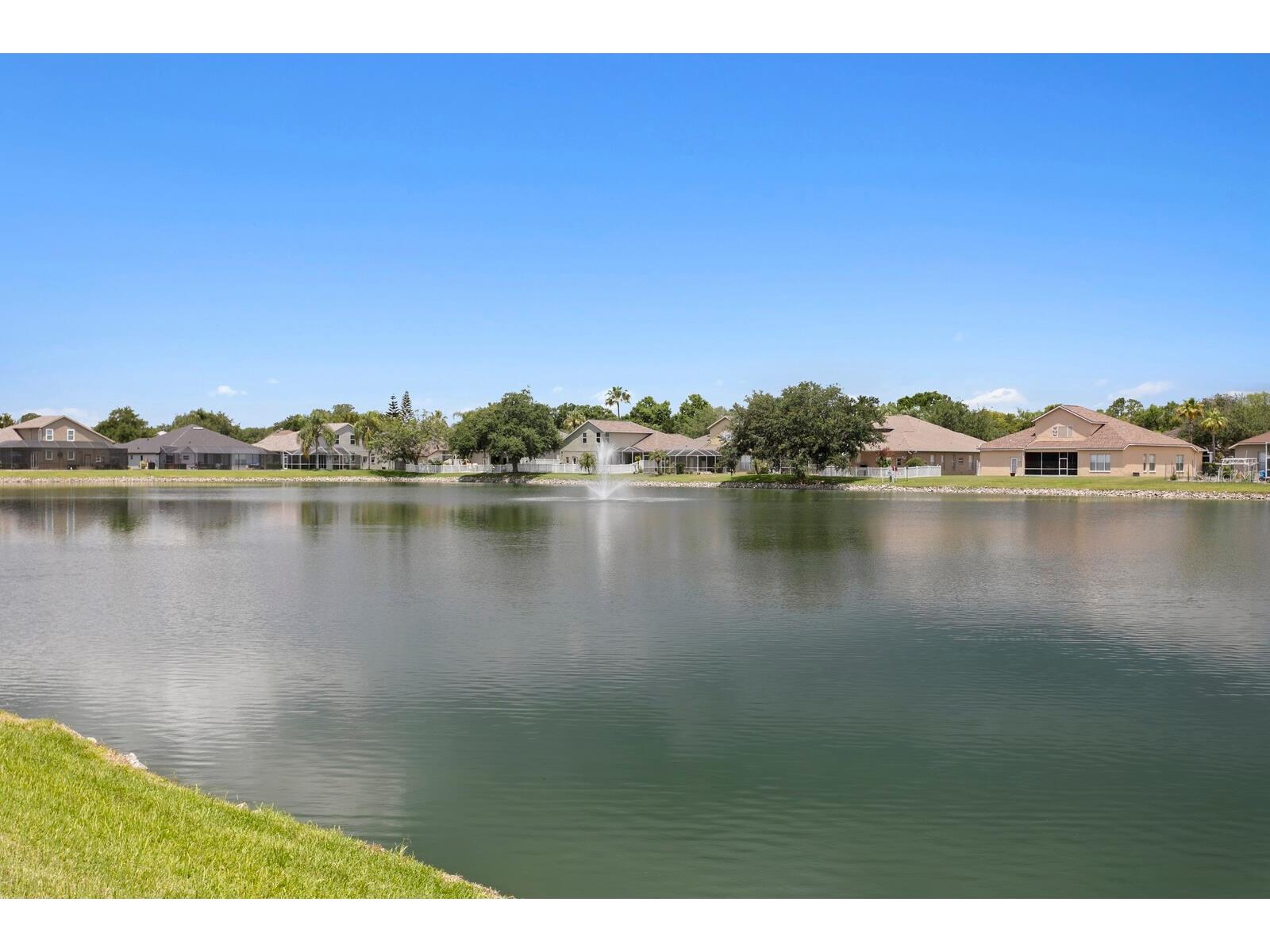 22953 Bay Cedar Drive Land O Lakes FL 34639 TB8507606 image47