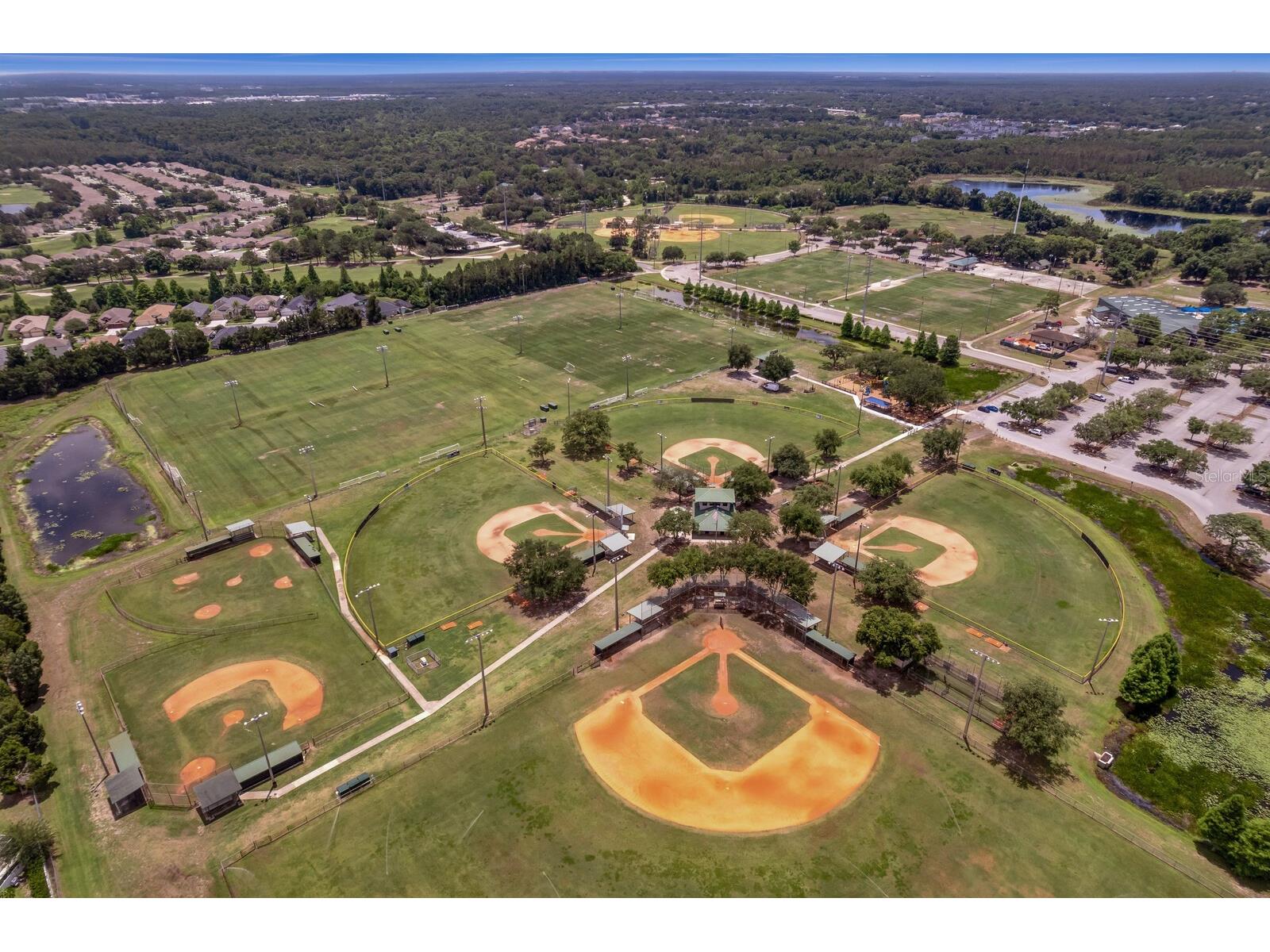 22953 Bay Cedar Drive Land O Lakes FL 34639 TB8507606 image52