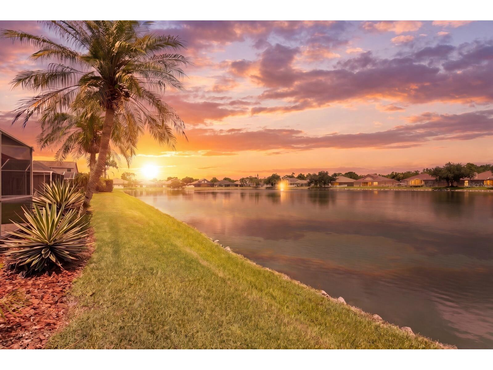 22953 Bay Cedar Drive Land O Lakes FL 34639 TB8507606 image57