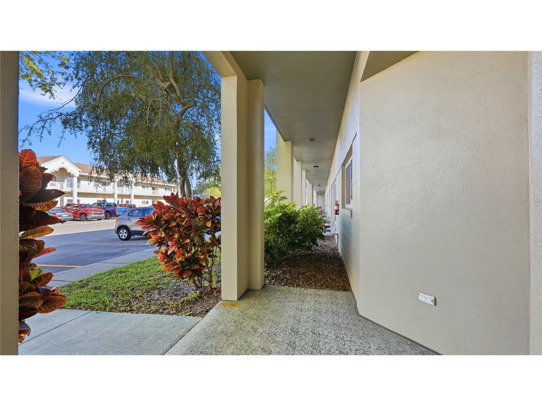 2296 Monaco Ln #10 Clearwater FL 33763 TB8489809 image3