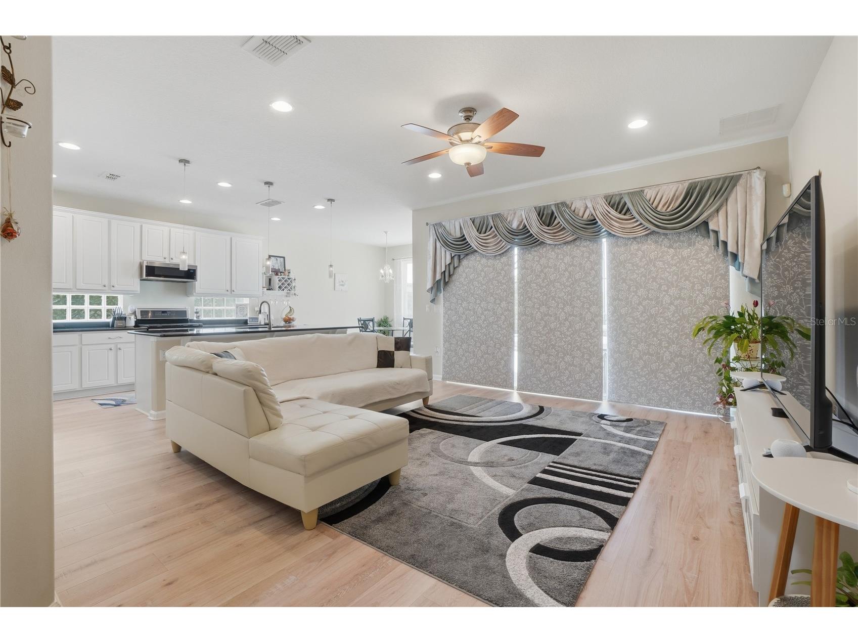 2296 Natoma Boulevard Mount Dora FL 32757 O6407730 image9