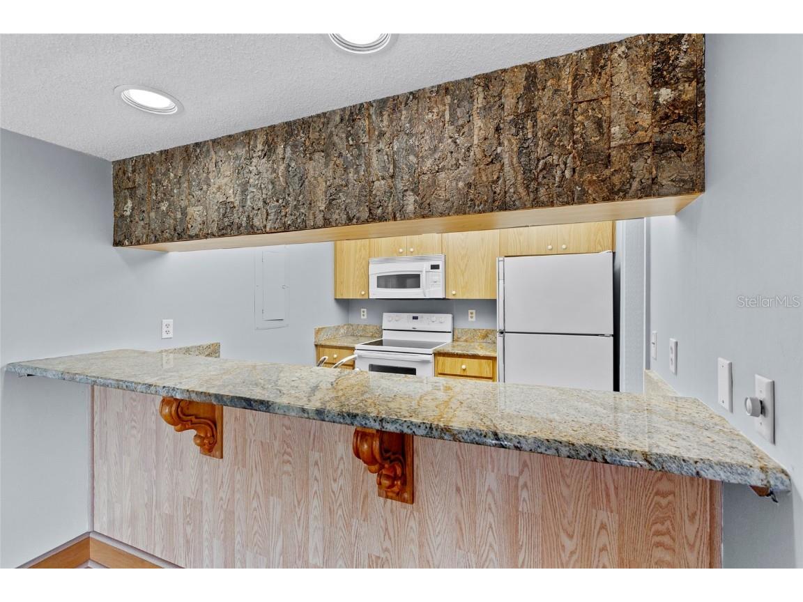 2297 Burnway Road #2297 Haines City FL 33844 O6284785 image6