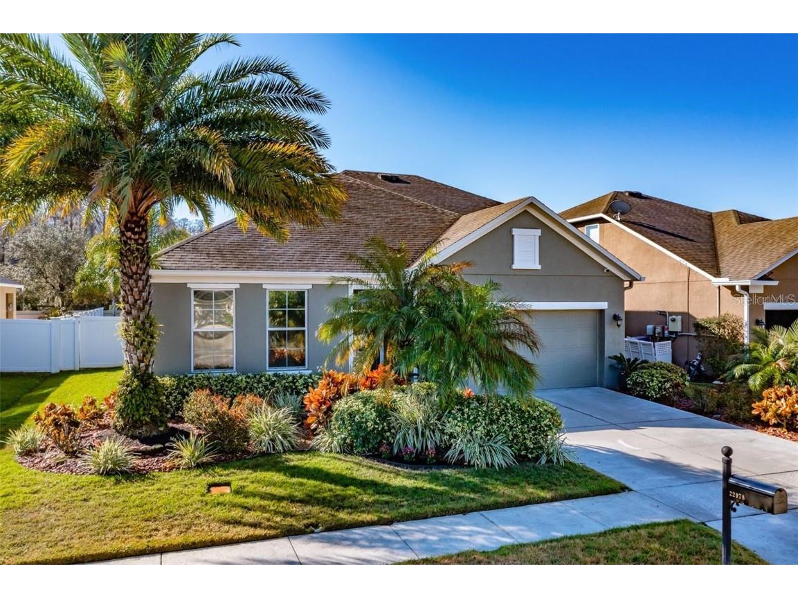 22978 Wood Violet Court Land O Lakes FL 34639 T3532347 image1