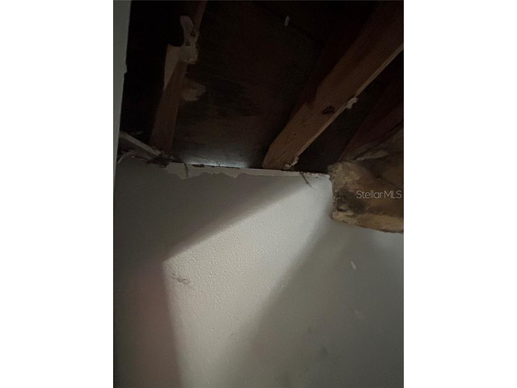 22979 NE County Road #200B Lawtey FL 32058 U8231511 image10