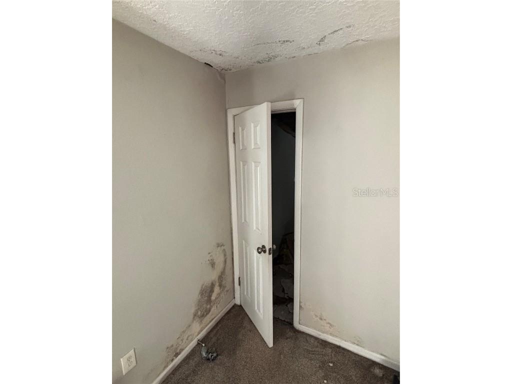 22979 NE County Road #200B Lawtey FL 32058 U8231511 image12