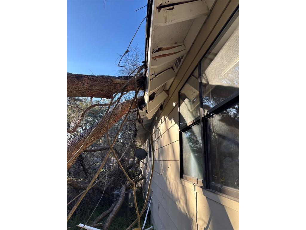 22979 NE County Road #200B Lawtey FL 32058 U8231511 image13