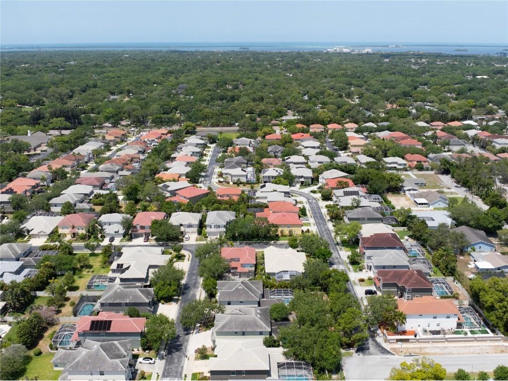 2298 Hannah Way N Dunedin FL 34698 TB8419816 image50