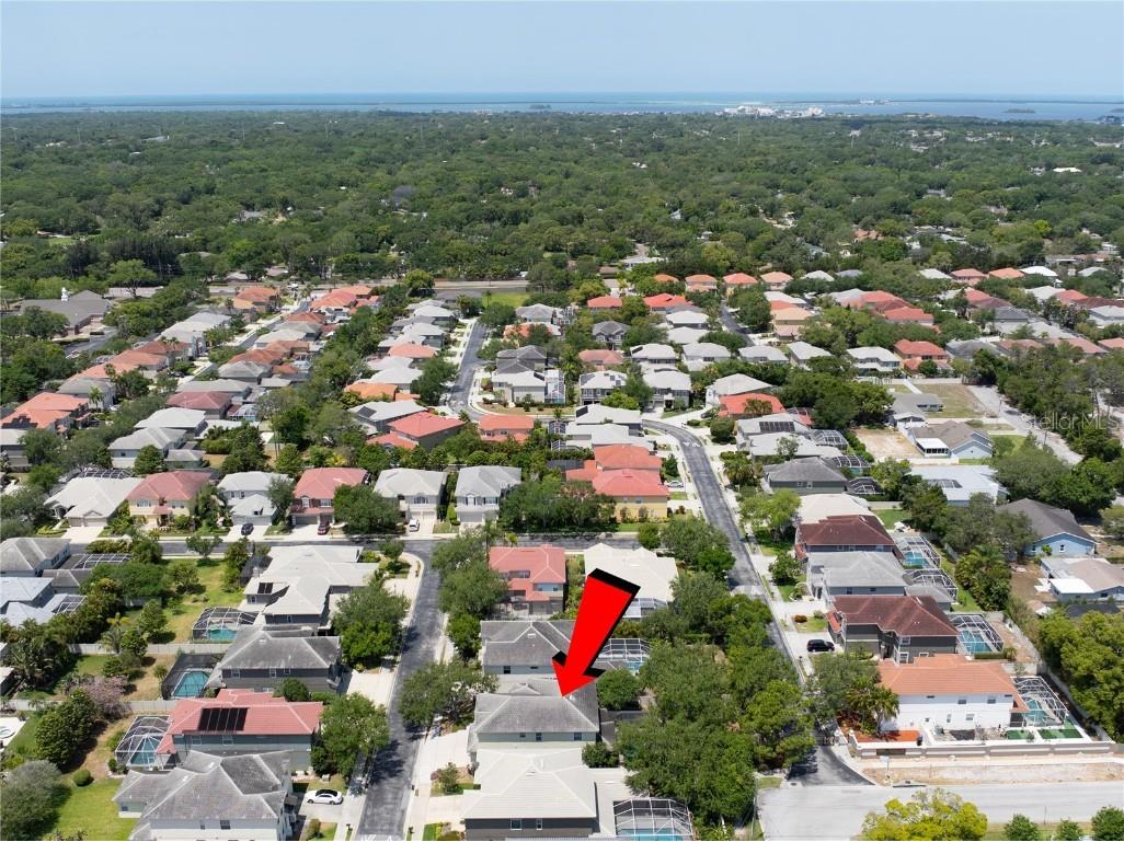 2298 Hannah Way N Dunedin FL 34698 TB8419816 image51