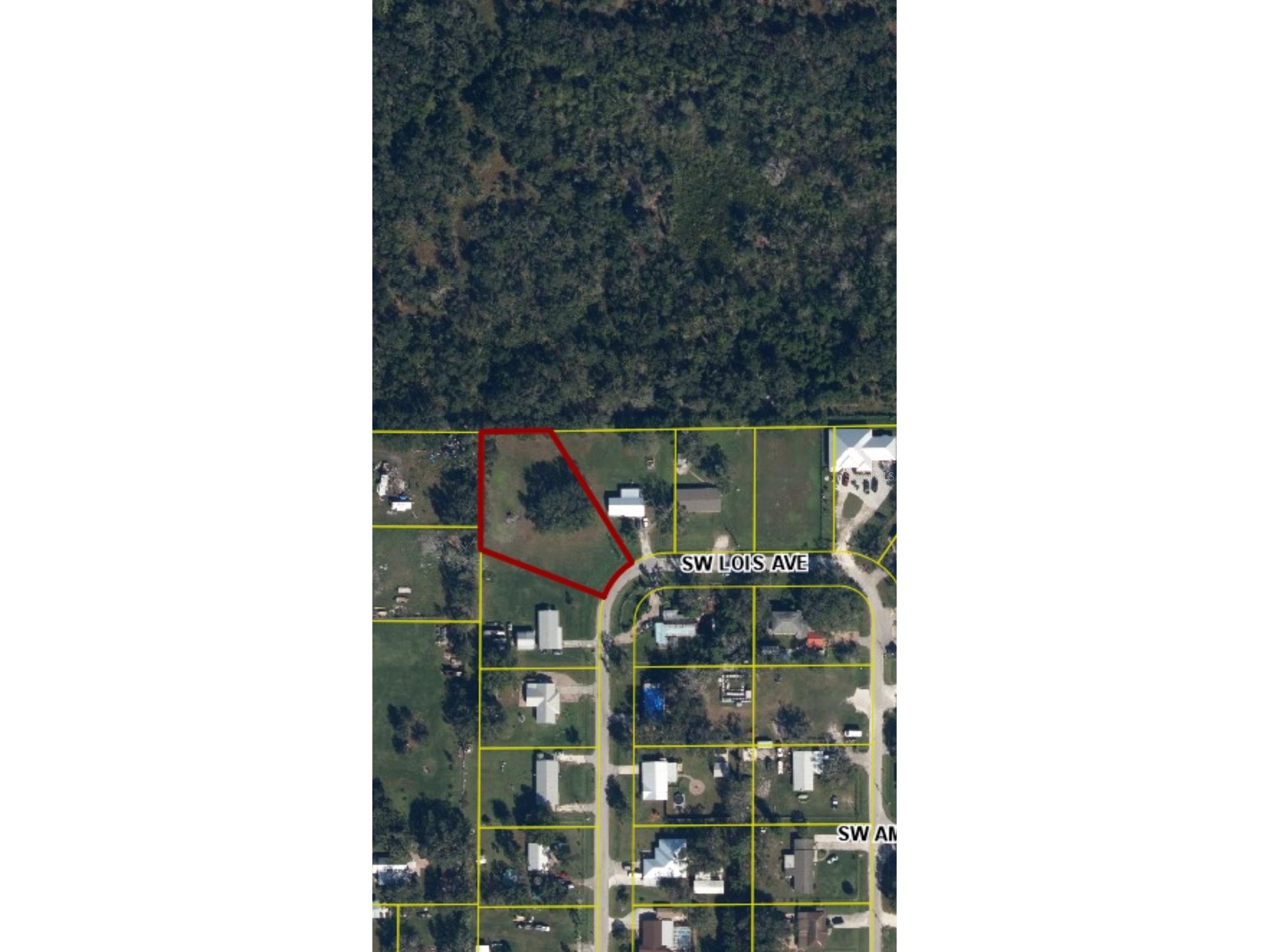 2298 SW Lois Avenue Arcadia FL 34266 C7528082 image3