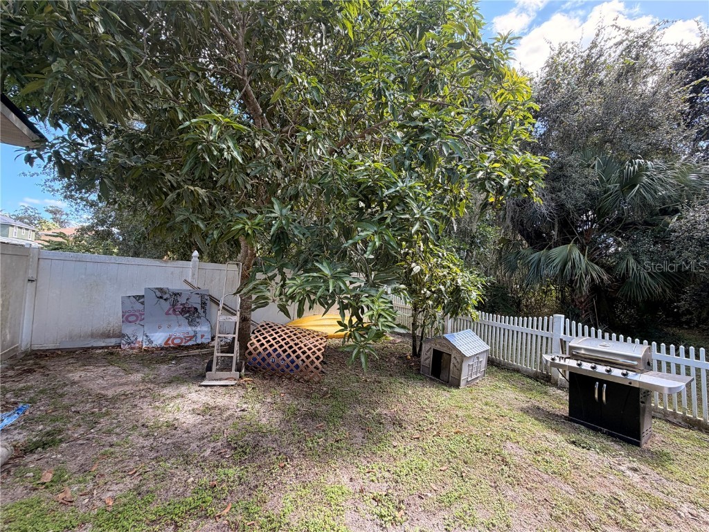 2298 Viehman Trail Kissimmee FL 34746 O6357228 image30