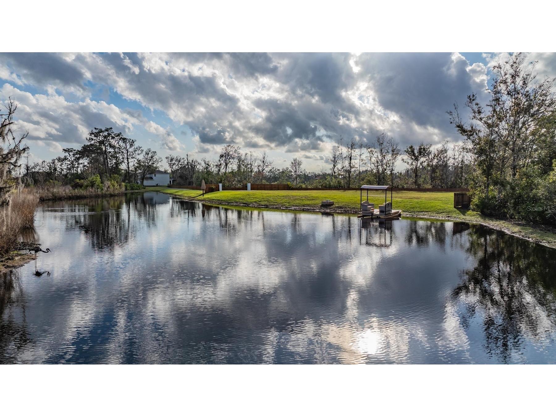 22980 Scaglione Drive Lutz FL 33549 TB8463724 image10