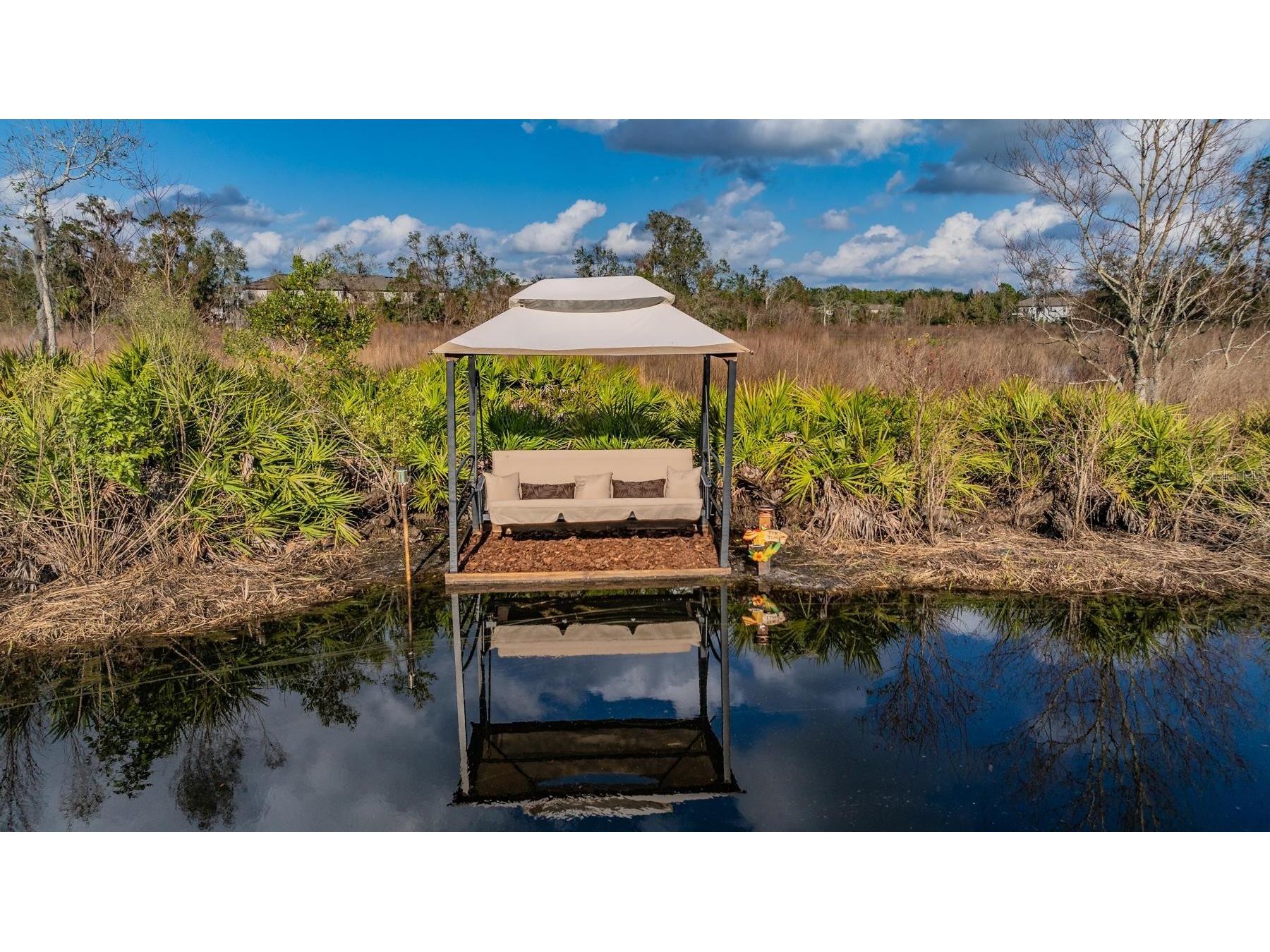 22980 Scaglione Drive Lutz FL 33549 TB8463724 image11