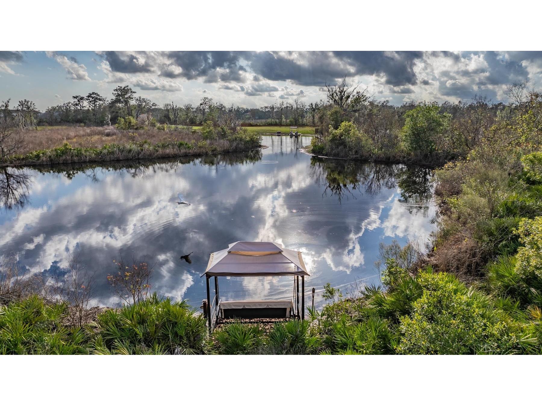 22980 Scaglione Drive Lutz FL 33549 TB8463724 image12
