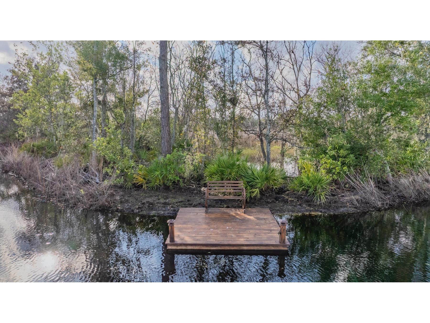 22980 Scaglione Drive Lutz FL 33549 TB8463724 image13