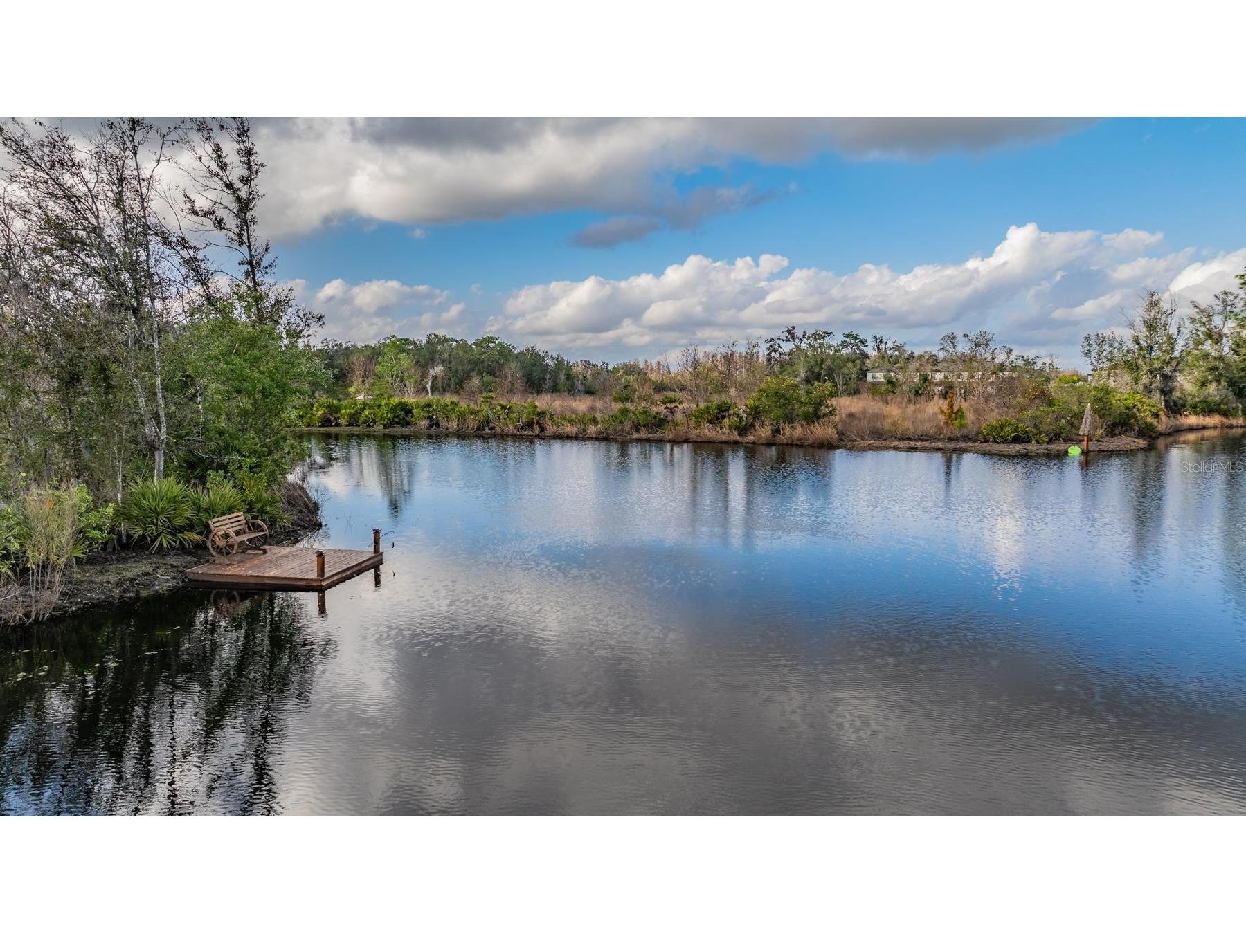 22980 Scaglione Drive Lutz FL 33549 TB8463724 image14