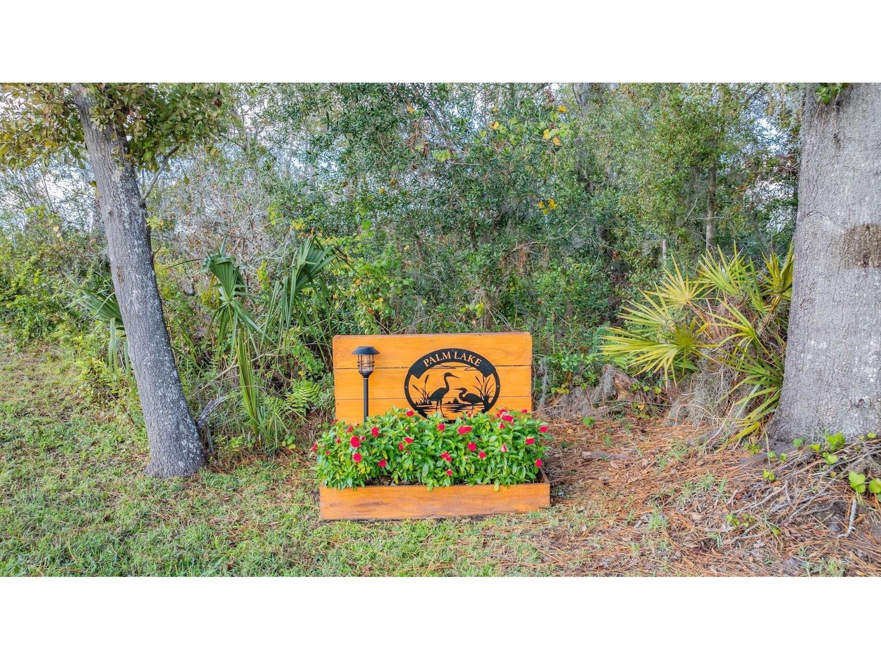 22980 Scaglione Drive Lutz FL 33549 TB8463724 image17