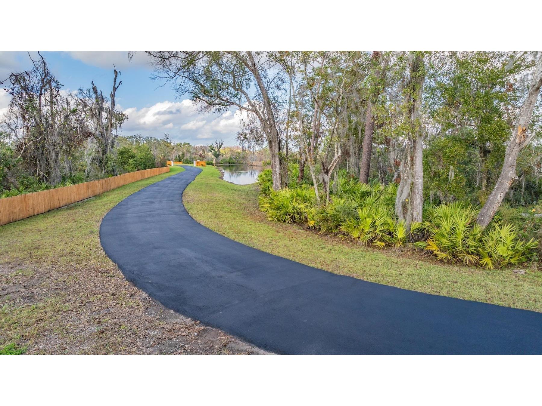 22980 Scaglione Drive Lutz FL 33549 TB8463724 image18