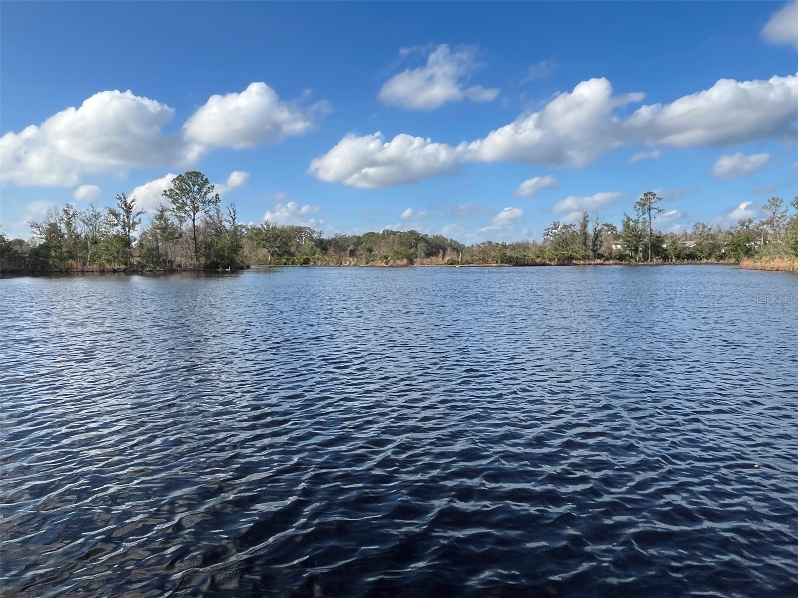 22980 Scaglione Drive Lutz FL 33549 TB8463724 image21