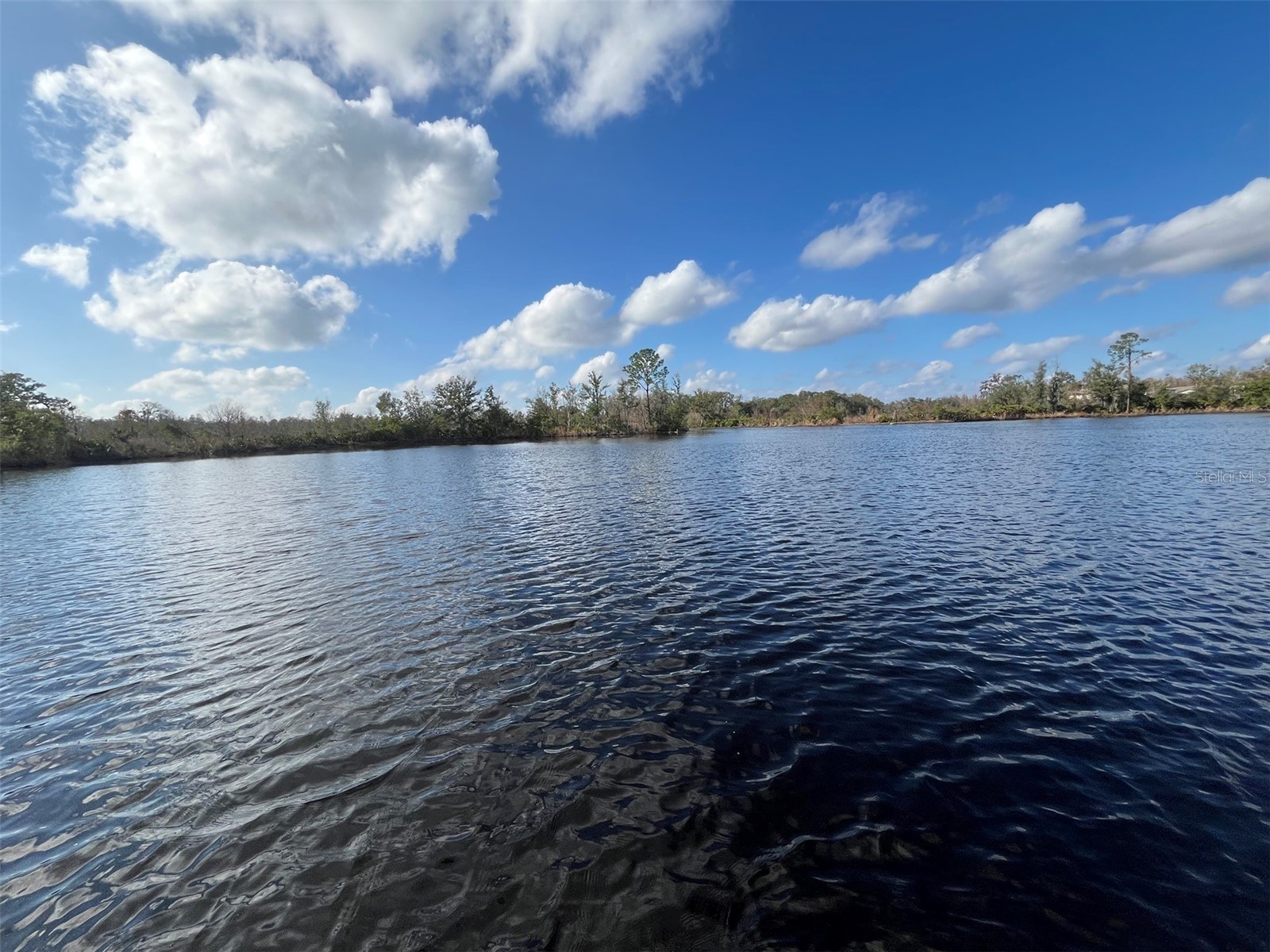22980 Scaglione Drive Lutz FL 33549 TB8463724 image22