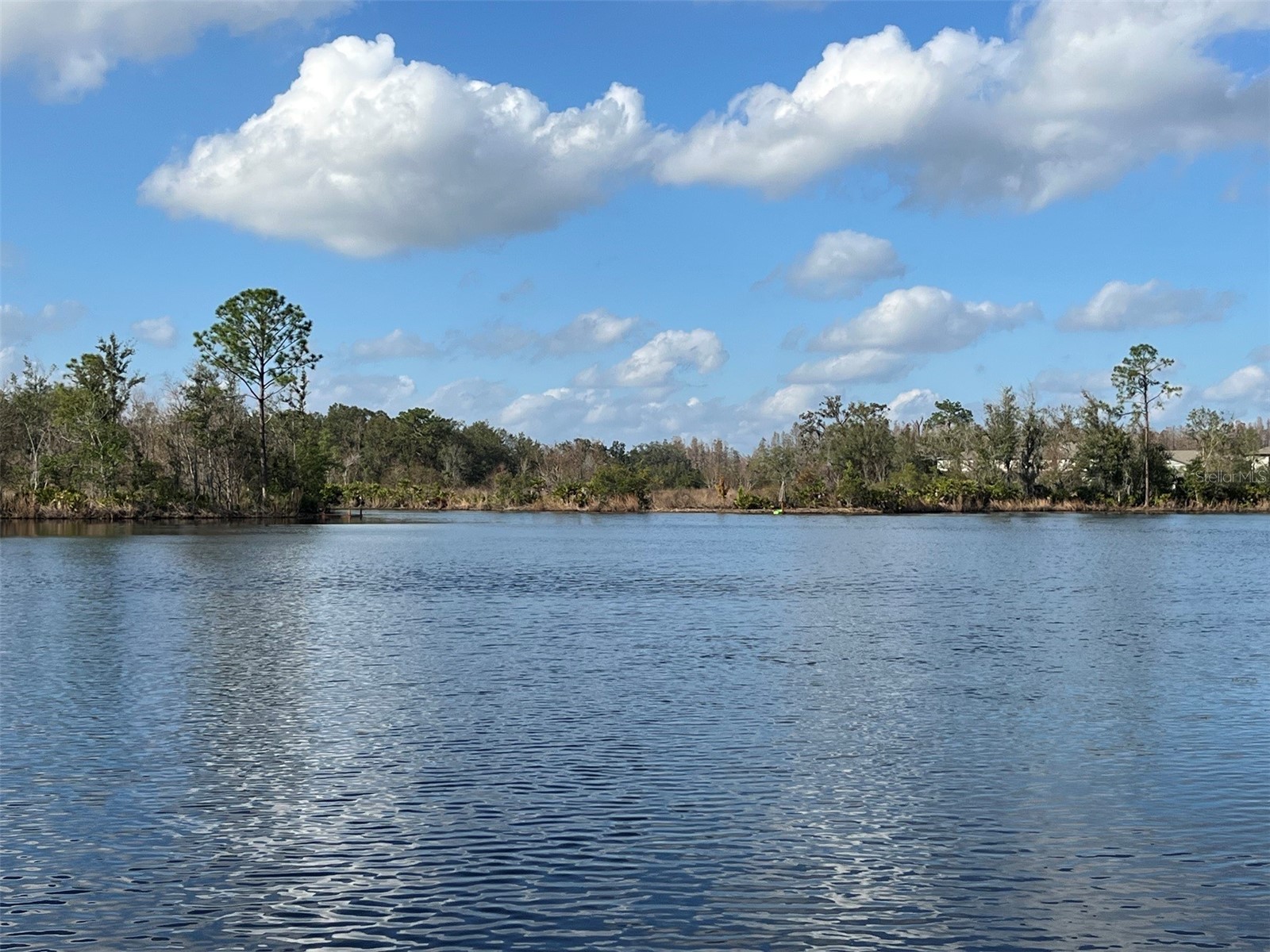 22980 Scaglione Drive Lutz FL 33549 TB8463724 image23