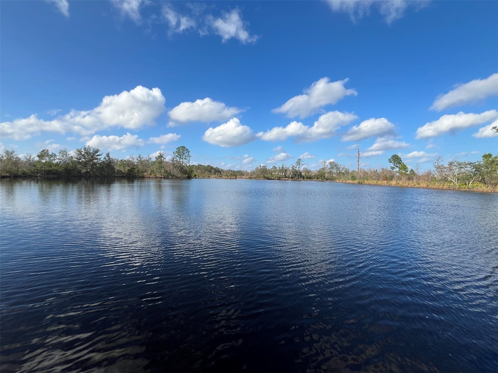 22980 Scaglione Drive Lutz FL 33549 TB8463724 image24