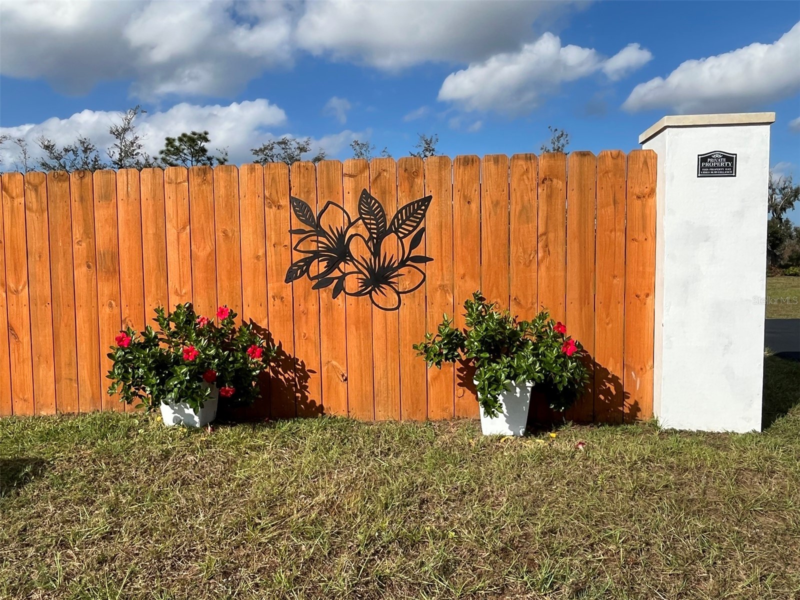 22980 Scaglione Drive Lutz FL 33549 TB8463724 image29