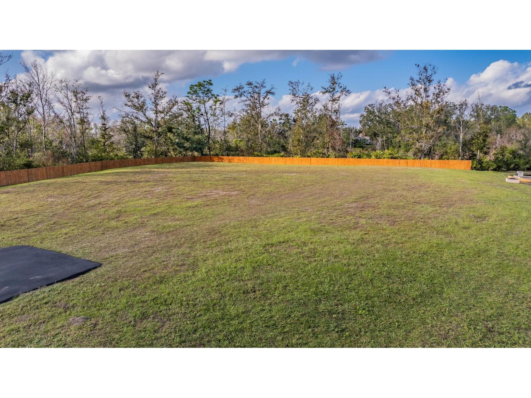 22980 Scaglione Drive Lutz FL 33549 TB8463724 image5