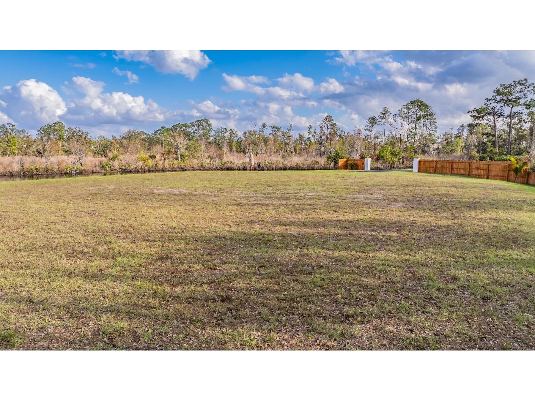 22980 Scaglione Drive Lutz FL 33549 TB8463724 image6