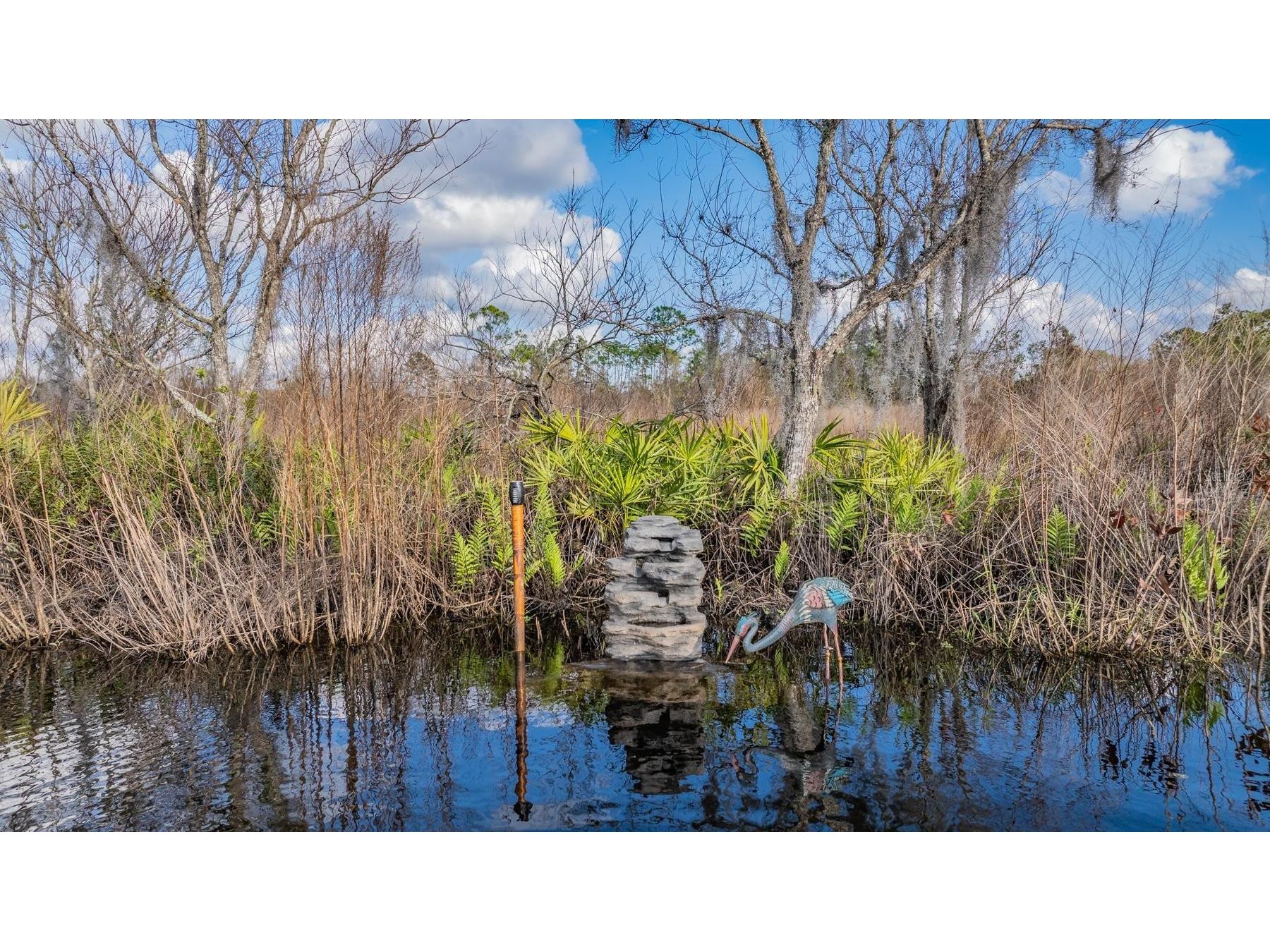 22980 Scaglione Drive Lutz FL 33549 TB8463724 image9
