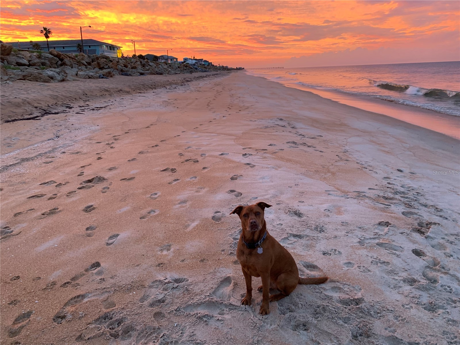 2299 N Oceanshore Boulevard Flagler Beach FL 32136 FC308722 image15
