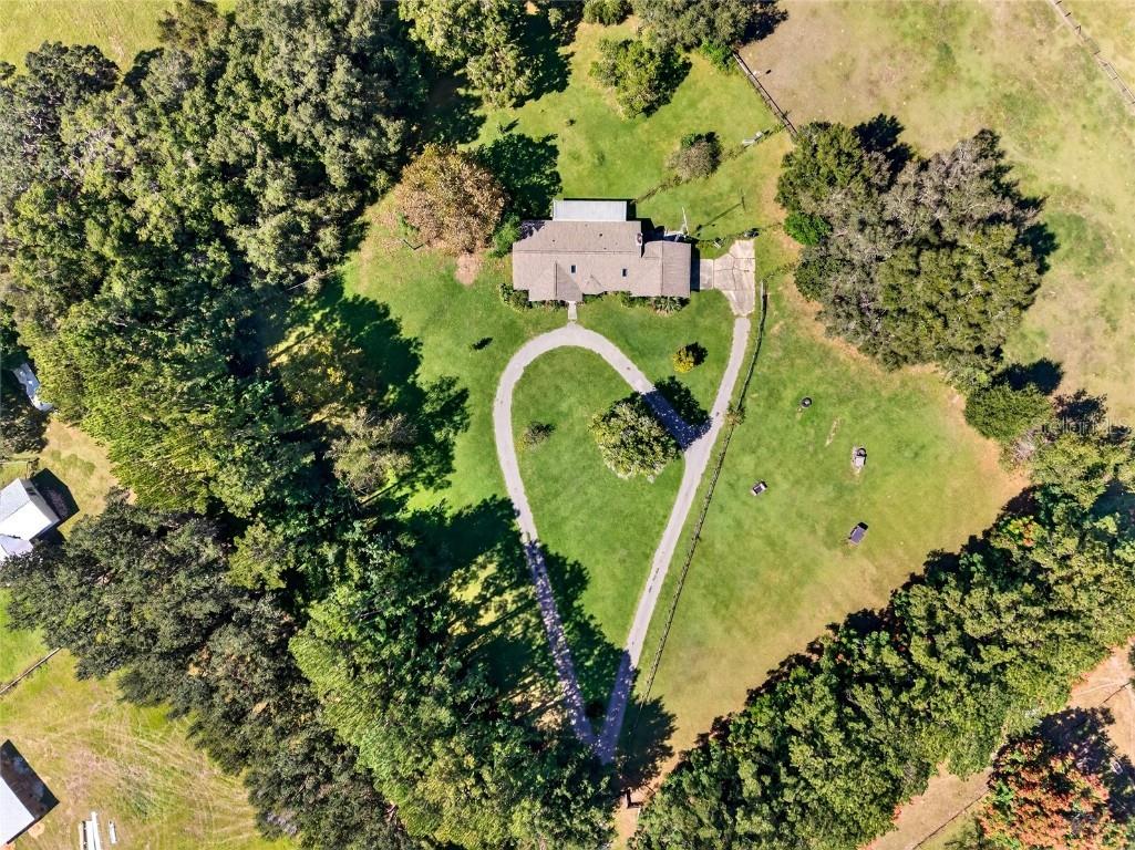 2299 NW 135th Lane Citra FL 32113 O6306346 image1