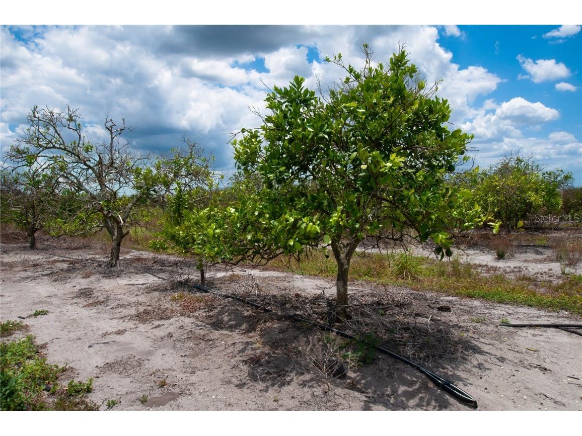 22ABCD Graham/Neal Road Punta Gorda FL 33982 A4612614 image1