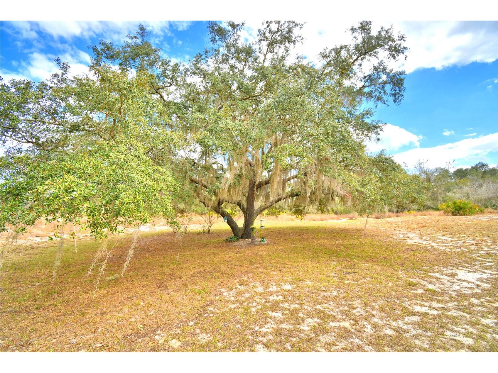 23 Armadillo Road Frostproof FL 33843 - LAKE REEDY K4903313 image44