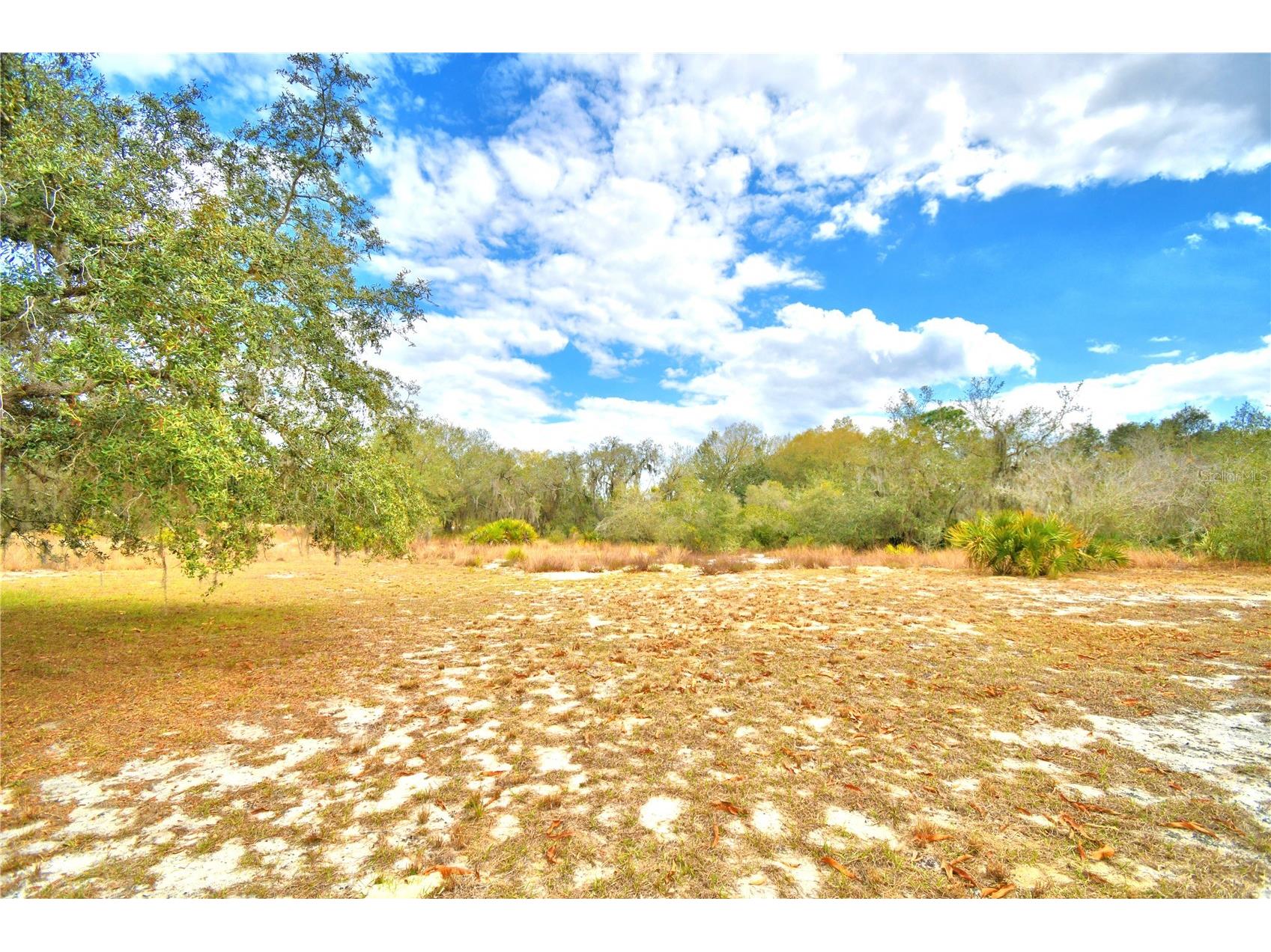 23 Armadillo Road Frostproof FL 33843 - LAKE REEDY K4903313 image45