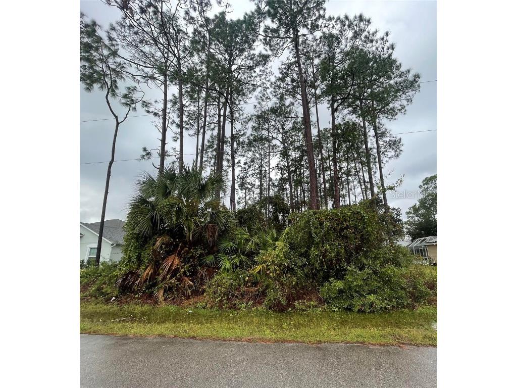 23 Briarvue Lane Palm Coast FL 32137 FC293376 image1