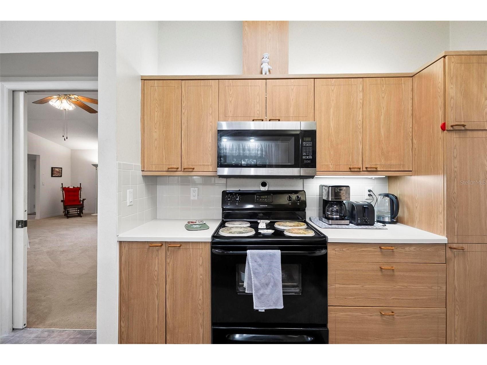 23 Brookside Lane Palm Coast FL 32137 FC316466 image22