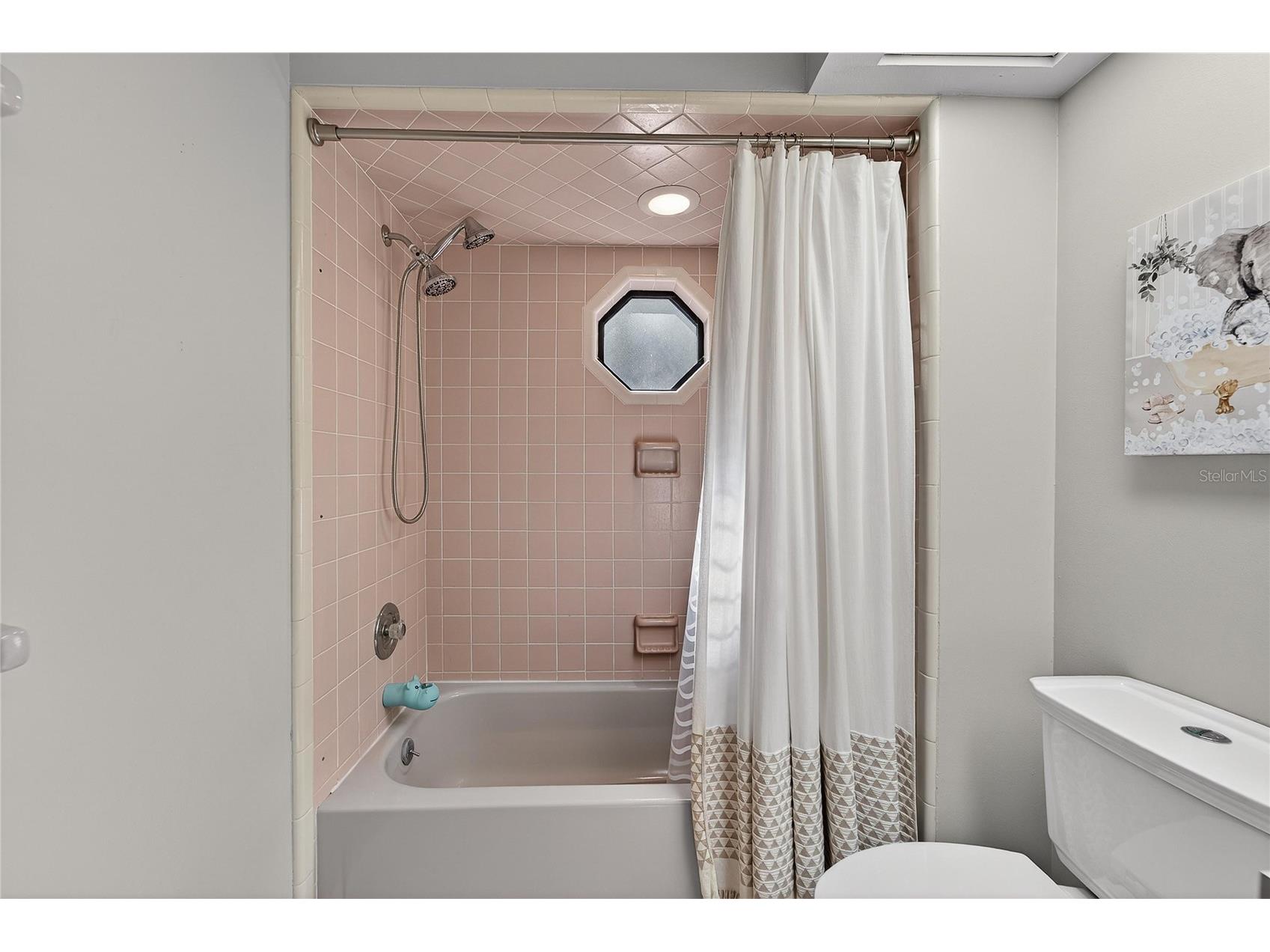 23 Chinkapin Circle Homosassa FL 34446 TB8488684 image43