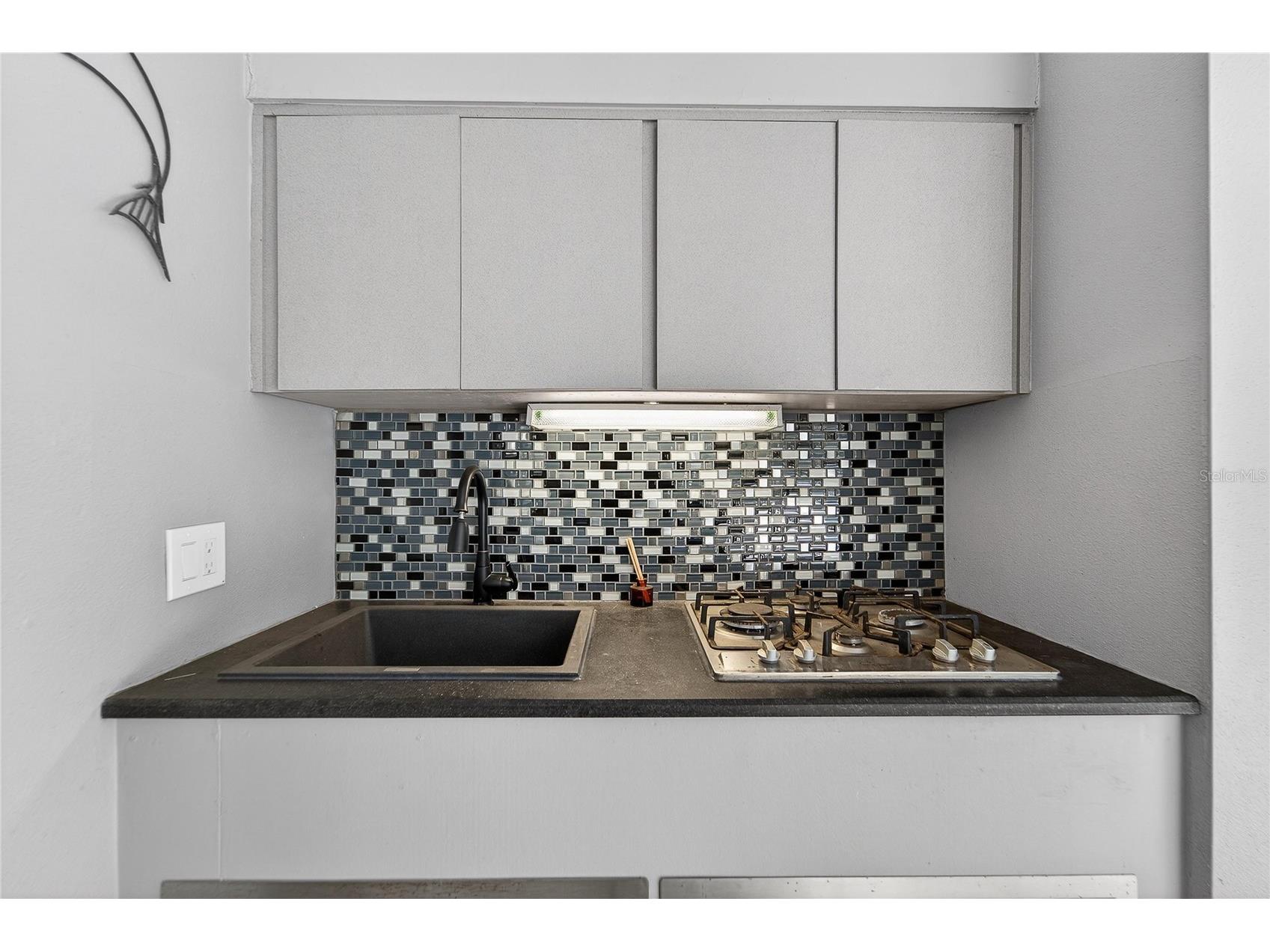 23 Chinkapin Circle Homosassa FL 34446 TB8488684 image60