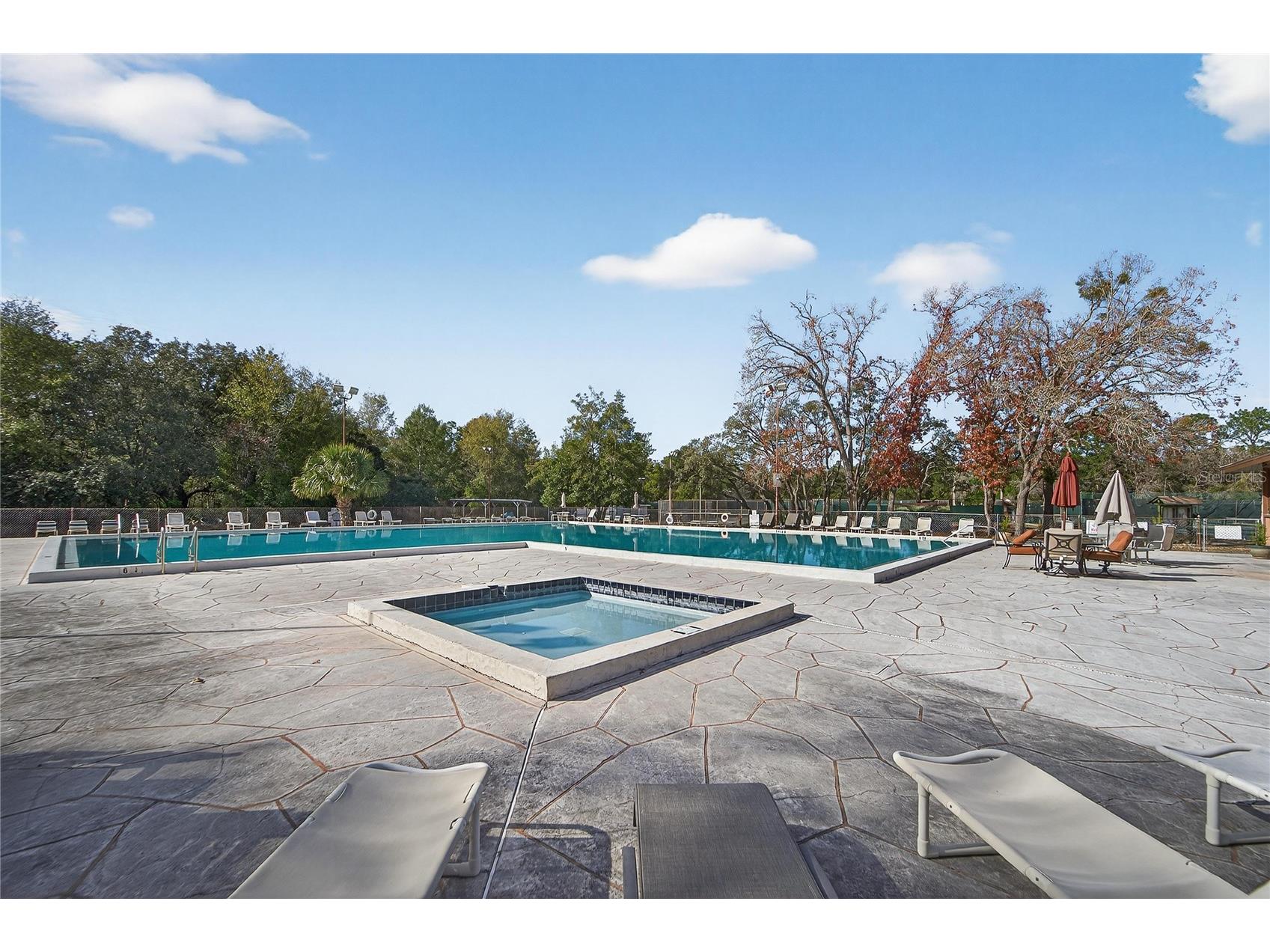 23 Chinkapin Circle Homosassa FL 34446 TB8488684 image67