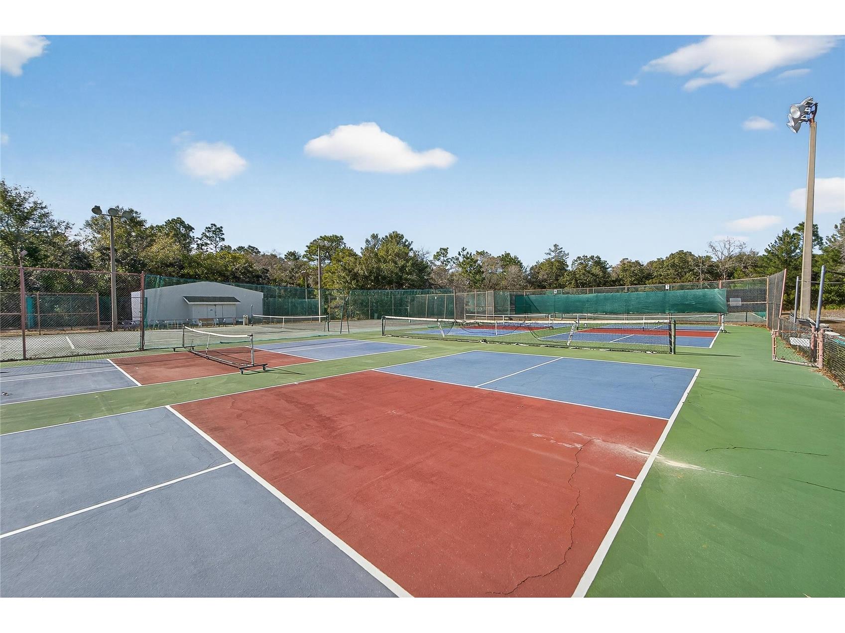 23 Chinkapin Circle Homosassa FL 34446 TB8488684 image69